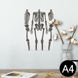 |X^[ EH[XebJ[ V[XebJ[  210×297mm A4 ʐ^ tHg  CeA   wall sticker poster 013822 [@͌^