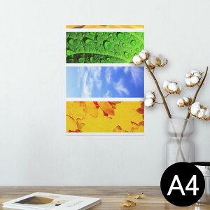 |X^[ EH[XebJ[ V[XebJ[  210×297mm A4 ʐ^ tHg  CeA   wall sticker poster 014084 ā@Ђ܂@