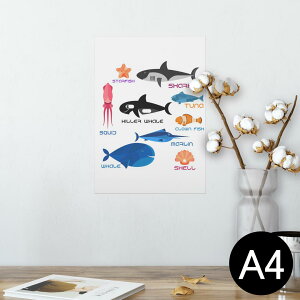 |X^[ EH[XebJ[ V[XebJ[  210×297mm A4 ʐ^ tHg  CeA   wall sticker poster 014505 C@@Lk