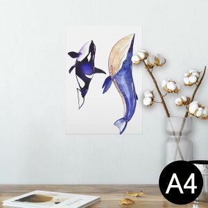 |X^[ EH[XebJ[ V[XebJ[  210×297mm A4 ʐ^ tHg  CeA   wall sticker poster 014703 C@CJ@NW