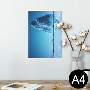 |X^[ EH[XebJ[ V[XebJ[  210×297mm A4 ʐ^ tHg  CeA   wall sticker poster 014978 iF@R@i@CXg@_@C