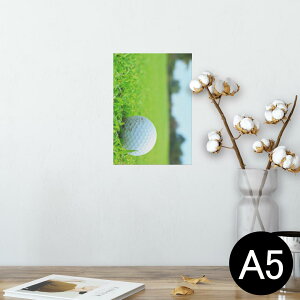 |X^[ EH[XebJ[ V[XebJ[  148×210mm A5 ʐ^ tHg  CeA   wall sticker poster 000255 St@Ő@X|[c