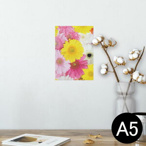 |X^[ EH[XebJ[ V[XebJ[  148×210mm A5 ʐ^ tHg  CeA   wall sticker poster 000958 ԁ@Jt