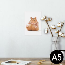 ポスター ウォールステッカー シール式ステッカー 飾り 148×210mm A5 写真 フォト 壁 インテリア おしゃれ 剥がせる wall sticker poster 001075 ハムスター　動物