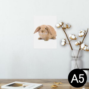 |X^[ EH[XebJ[ V[XebJ[  148×210mm A5 ʐ^ tHg  CeA   wall sticker poster 001112 @