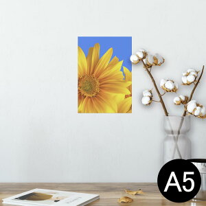 |X^[ EH[XebJ[ V[XebJ[  148×210mm A5 ʐ^ tHg  CeA   wall sticker poster 001397 Ђ܂