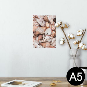 |X^[ EH[XebJ[ V[XebJ[  148×210mm A5 ʐ^ tHg  CeA   wall sticker poster 002925 C@Lk@ʐ^