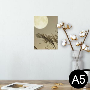 |X^[ EH[XebJ[ V[XebJ[  148×210mm A5 ʐ^ tHg  CeA   wall sticker poster 003164 ʐ^@iF@i