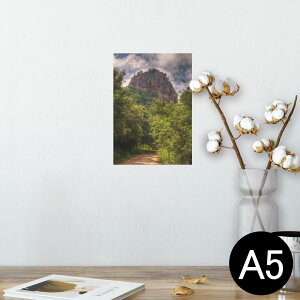 |X^[ EH[XebJ[ V[XebJ[  148×210mm A5 ʐ^ tHg  CeA   wall sticker poster 003266 N[ O@ʐ^@iF@i