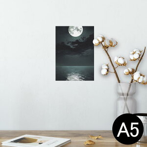 |X^[ EH[XebJ[ V[XebJ[  148×210mm A5 ʐ^ tHg  CeA   wall sticker poster 003304 N[ i@iF@C