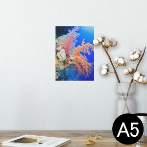 |X^[ EH[XebJ[ V[XebJ[  148×210mm A5 ʐ^ tHg  CeA   wall sticker poster 003341 C@ʐ^@iF@i