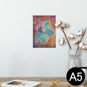 |X^[ EH[XebJ[ V[XebJ[  148×210mm A5 ʐ^ tHg  CeA   wall sticker poster 022899 ԁ@Jt@G@yCg