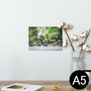 |X^[ EH[XebJ[ V[XebJ[  148×210mm A5 ʐ^ tHg  CeA   wall sticker poster 023001 ~́@A@ʐ^