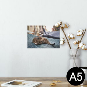 |X^[ EH[XebJ[ V[XebJ[  148×210mm A5 ʐ^ tHg  CeA   wall sticker poster 023084 L@˂@@i@ʐ^