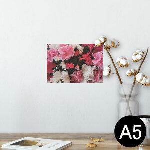 |X^[ EH[XebJ[ V[XebJ[  148×210mm A5 ʐ^ tHg  CeA   wall sticker poster 023336 ԁ@t[@J[l[V@ʐ^
