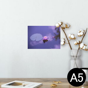 |X^[ EH[XebJ[ V[XebJ[  148×210mm A5 ʐ^ tHg  CeA   wall sticker poster 023533 ԁ@t[@@̉