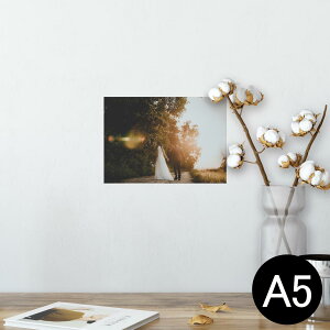 |X^[ EH[XebJ[ V[XebJ[  148×210mm A5 ʐ^ tHg  CeA   wall sticker poster 023534 EGfBO@Jbv@ʐ^