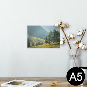 |X^[ EH[XebJ[ V[XebJ[  148×210mm A5 ʐ^ tHg  CeA   wall sticker poster 023604 iF@R@