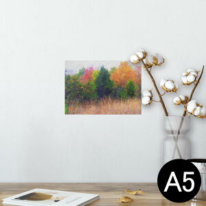 |X^[ EH[XebJ[ V[XebJ[  148×210mm A5 ʐ^ tHg  CeA   wall sticker poster 023639 G@X