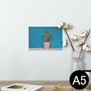 |X^[ EH[XebJ[ V[XebJ[  148×210mm A5 ʐ^ tHg  CeA   wall sticker poster 023685 A@A