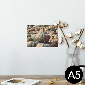 |X^[ EH[XebJ[ V[XebJ[  148×210mm A5 ʐ^ tHg  CeA   wall sticker poster 023702 ڂ@nEB@ʐ^