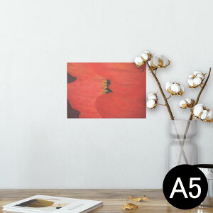 |X^[ EH[XebJ[ V[XebJ[  148×210mm A5 ʐ^ tHg  CeA   wall sticker poster 023717 ԁ@t[@G