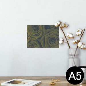 |X^[ EH[XebJ[ V[XebJ[  148×210mm A5 ʐ^ tHg  CeA   wall sticker poster 023752 ԁ@t[@o
