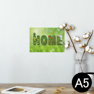 |X^[ EH[XebJ[ V[XebJ[  148×210mm A5 ʐ^ tHg  CeA   wall sticker poster 023825 @Ő@