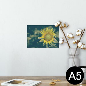 |X^[ EH[XebJ[ V[XebJ[  148×210mm A5 ʐ^ tHg  CeA   wall sticker poster 023850 ԁ@t[@Ђ܂