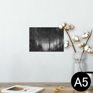|X^[ EH[XebJ[ V[XebJ[  148×210mm A5 ʐ^ tHg  CeA   wall sticker poster 025587 Xс@mN@