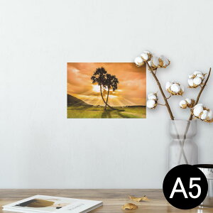 |X^[ EH[XebJ[ V[XebJ[  148×210mm A5 ʐ^ tHg  CeA   wall sticker poster 025622 V̖؁@v@R@iF