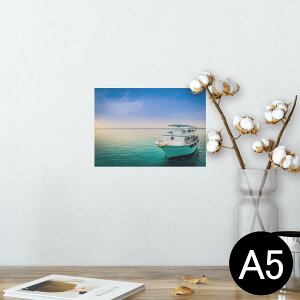 |X^[ EH[XebJ[ V[XebJ[  148×210mm A5 ʐ^ tHg  CeA   wall sticker poster 025633 C@{[g@@i