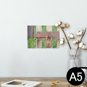 |X^[ EH[XebJ[ V[XebJ[  148×210mm A5 ʐ^ tHg  CeA   wall sticker poster 025650 싞@@