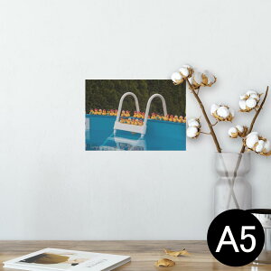 |X^[ EH[XebJ[ V[XebJ[  148×210mm A5 ʐ^ tHg  CeA   wall sticker poster 025719 v[@Ђ@