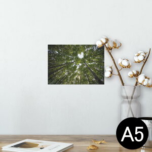 |X^[ EH[XebJ[ V[XebJ[  148×210mm A5 ʐ^ tHg  CeA   wall sticker poster 025739 R@Xс@؁@n[g