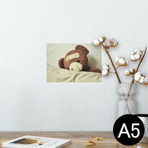 |X^[ EH[XebJ[ V[XebJ[  148×210mm A5 ʐ^ tHg  CeA   wall sticker poster 025770 efBxA@ʂ݁@l`@N}