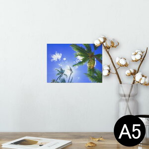 |X^[ EH[XebJ[ V[XebJ[  148×210mm A5 ʐ^ tHg  CeA   wall sticker poster 025803 V̖؁@R@t@