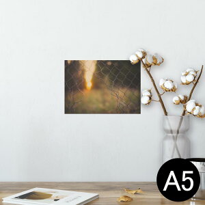 |X^[ EH[XebJ[ V[XebJ[  148×210mm A5 ʐ^ tHg  CeA   wall sticker poster 025915 tFX@v