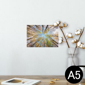 |X^[ EH[XebJ[ V[XebJ[  148×210mm A5 ʐ^ tHg  CeA   wall sticker poster 025927 Xс@؁@R