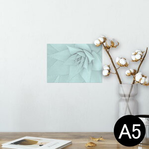 |X^[ EH[XebJ[ V[XebJ[  148×210mm A5 ʐ^ tHg  CeA   wall sticker poster 025929 A@AG