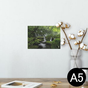 |X^[ EH[XebJ[ V[XebJ[  148×210mm A5 ʐ^ tHg  CeA   wall sticker poster 025978 Xс@@R@