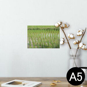 |X^[ EH[XebJ[ V[XebJ[  148×210mm A5 ʐ^ tHg  CeA   wall sticker poster 026003 cځ@cA@@i