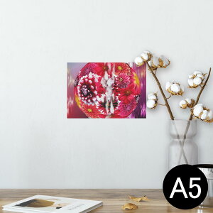 |X^[ EH[XebJ[ V[XebJ[  148×210mm A5 ʐ^ tHg  CeA   wall sticker poster 026064 ԁ@_A@A[g