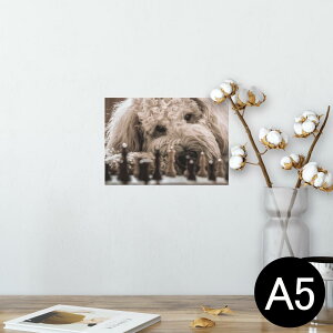 �|�X�^�[ �E�H�[���X�e�b�J�[ �V�[�����X�e�b�J�[ ���� 148×210mm A5 �ʐ^ �t�H�g �� �C���e���A ������� �������� wall sticker poster 026095 �����@���@�`�F�X