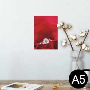 |X^[ EH[XebJ[ V[XebJ[  148×210mm A5 ʐ^ tHg  CeA   wall sticker poster 005136 ԁ@wց@KN