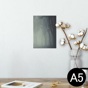|X^[ EH[XebJ[ V[XebJ[  148×210mm A5 ʐ^ tHg  CeA   wall sticker poster 005899 ʐ^@X@