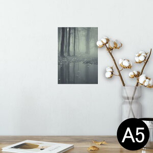 |X^[ EH[XebJ[ V[XebJ[  148×210mm A5 ʐ^ tHg  CeA   wall sticker poster 005900 ʐ^@X@