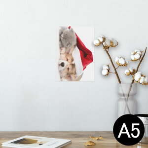 |X^[ EH[XebJ[ V[XebJ[  148×210mm A5 ʐ^ tHg  CeA   wall sticker poster 008645 Aj} @L@Xq@ʐ^