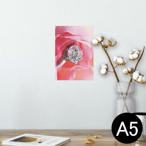 |X^[ EH[XebJ[ V[XebJ[  148×210mm A5 ʐ^ tHg  CeA   wall sticker poster 008706 ʐ^@ԁ@@wց@_C