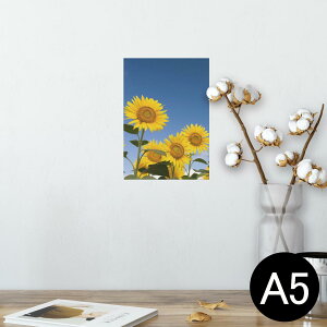 ひまわり 写真 おしゃれの人気商品 通販 価格比較 価格 Com ひまわり 写真 おしゃれの人気商品 通販 価格比較 価格 Com